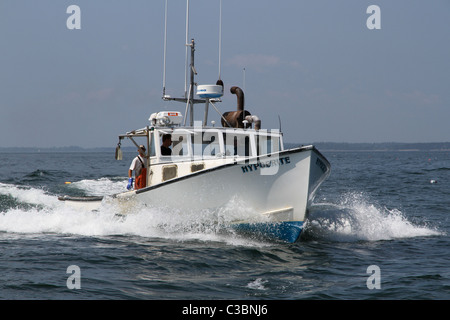 Lobstermen travail Banque D'Images