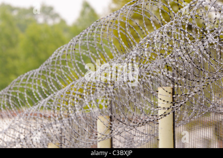Prison clôture avec barbelés enroulés Banque D'Images