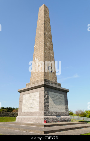 Knockagh Monument, Carrickfergus. Monument aux soldats qui sont morts en WW1 et WW2 ainsi que d'autres conflits Banque D'Images