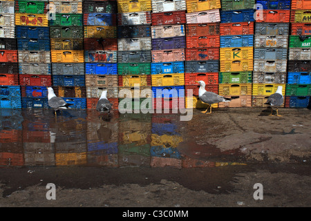 Zone portuaire à Essaouira, Maroc Banque D'Images