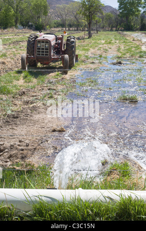 L'eau pour l'agriculture et l'élevage est un bien précieux dans les Hondo Valley, New Mexico. Banque D'Images