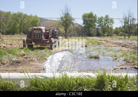 L'eau pour l'agriculture et l'élevage est un bien précieux dans les Hondo Valley, New Mexico. Banque D'Images