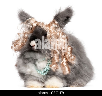 Lapin angora anglais portant perruque et pearls in front of white background Banque D'Images