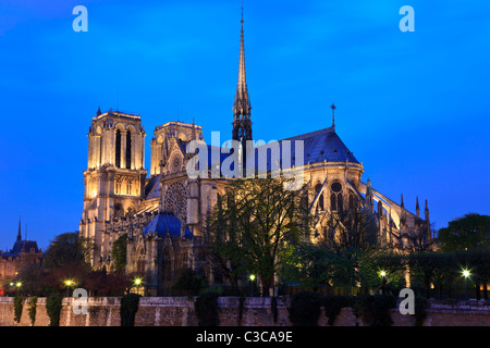 Notre Dame de Paris la nuit. Vue sur cathédrale de l'autre côté de la Seine. Banque D'Images