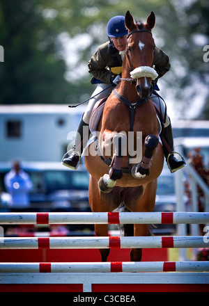 Cavalier de spectacle Banque D'Images