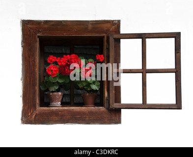 Ouvre la fenêtre traditionnelle en bois avec des fleurs rouge sur Mur Blanc Banque D'Images