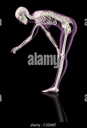 3D render of a female skeleton inclinées sur Banque D'Images