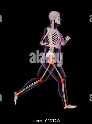 3D render of an overweight female skeleton tournant montrant les points de pression sur les articulations Banque D'Images