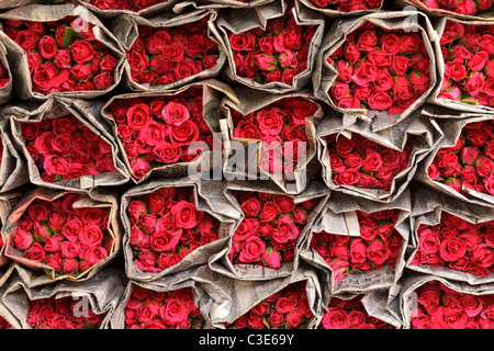 Roses rouges enveloppées dans du papier journal au marché aux fleurs de Bangkok Banque D'Images