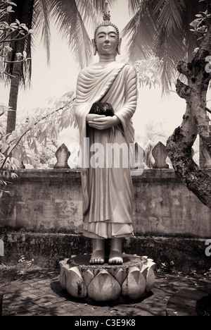 Buddha, Wat Choum Khong Soulinthaham Banque D'Images