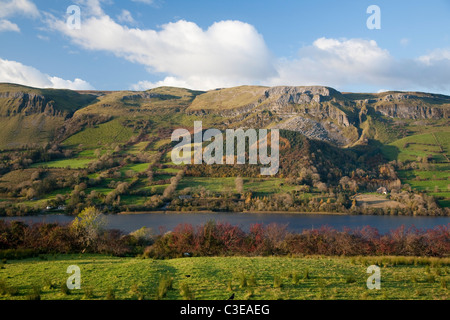 Nœud de trèfle dans les arbres d'automne le long du rivage de Glencar Lough. Comté de Sligo, Irlande. Banque D'Images