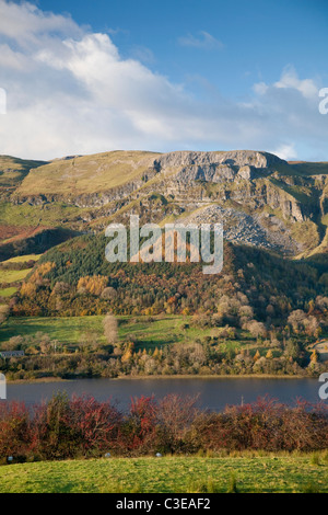 Nœud de trèfle dans les arbres d'automne le long du rivage de Glencar Lough. Comté de Sligo, Irlande. Banque D'Images