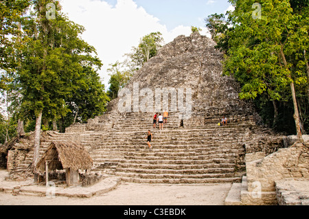 Coba la Pyramide Iglesia Mexique // COBA, Quintana Roo, Mexique — la pyramide la Iglesia (l'église) s'élève à environ 24 mètres (79 pieds) au-dessus du sol de la jungle à l'ancien site archéologique maya de Coba. La structure, construite au début de la période classique (vers 300-600 EC), est la deuxième plus haute pyramide de Coba après Nohoch Mul et fait partie du groupe de Coba, l'une des plus anciennes zones cérémonielles du site. À sa base se dresse la stèle 11, protégée par un abri au toit de chaume, qui commémore le souverain Xaman K'awiil et marque cet endroit comme un centre rituel important. Coba, situé entre deux la Banque D'Images