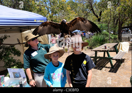 Deux enfants (9 ans, 12 ans) avec un jeune aigle australien (Aquila audax) en écartant ses ailes. L'ouest de l'Australie Banque D'Images