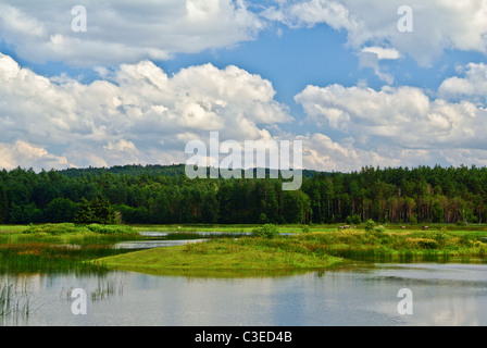 Les étangs de l'écho dans la région Roztocze Zwierzyniec - Pologne Europe du Sud-Est, Banque D'Images