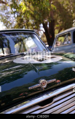 British Racing Green Morris Mini Cooper S, une voiture à moteur britannique classique. Banque D'Images