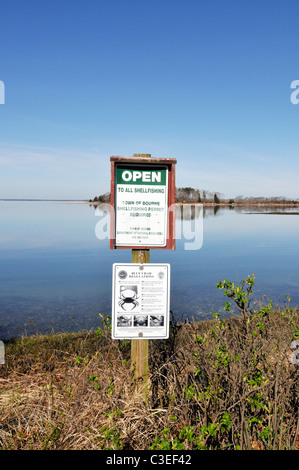 Ouvert à tous les signes et les règlements shellfishing bluecrab signe affiché au bord des océans à Cape Cod, USA Banque D'Images