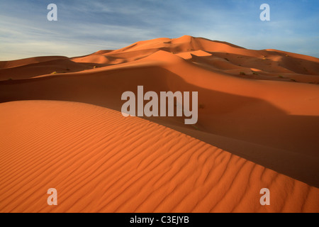 Tôt le matin, la lumière sur les énormes dunes de l'Erg Chebbi près de Merzouga au Maroc Banque D'Images