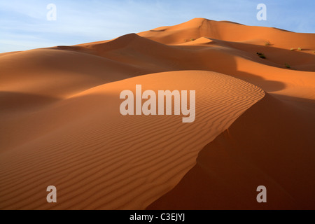 Tôt le matin, la lumière sur les énormes dunes de l'Erg Chebbi près de Merzouga au Maroc Banque D'Images