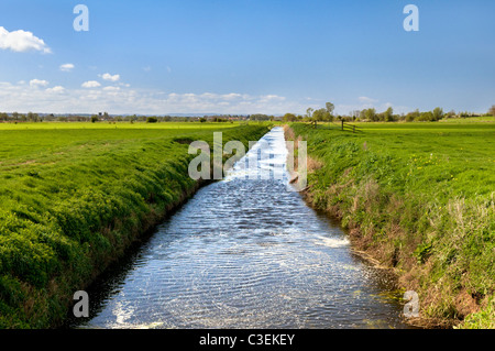 River Sheppey prises près de Godney Fenney et château sur les niveaux de Somerset, England, UK Banque D'Images