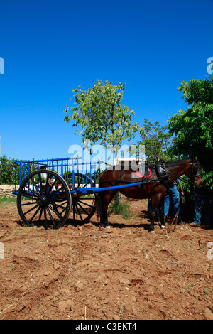 Panier Ibiza typique (wagon), pleine vue Banque D'Images