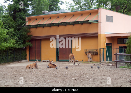 Les animaux dans le zoo de Zagreb, parc, Maksimir Zagreb, Croatie Banque D'Images