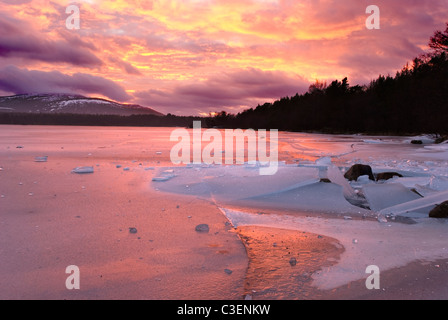 Au coucher du soleil d'hiver le Loch Morlich, Aviemore, Ecosse, Royaume-Uni Banque D'Images