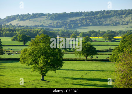 Voir des terres agricoles ,campagne et les North Downs et fort Hill, Headley, collines du Surrey, Surrey, Angleterre Banque D'Images