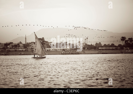 La voile et les oiseaux 1900 rubrique pour se percher sur le Nil au coucher du soleil, Luxor, Egypte, Afrique du Nord Banque D'Images