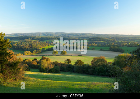 Voir l'automne de Newlands corner sur les collines du Surrey et Albury Banque D'Images