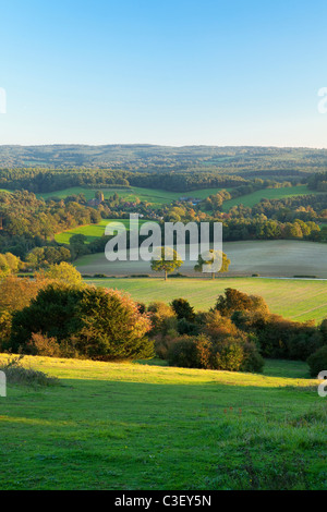 Voir l'automne de Newlands corner sur les collines du Surrey et Albury Banque D'Images