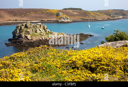 Vue depuis l'ajonc clad Shipman la tête en bas, sur l'île de Bryher pendu passé à Isles of Scilly Tresco Banque D'Images