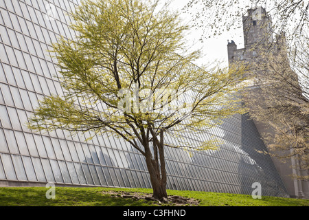 Printemps arbre à l'extérieur du mur sud du Metropolitan Museum of Art , Central Park, NYC Banque D'Images