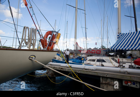 Antigua - semaine des courses de yachts de Falmouth Harbour Banque D'Images