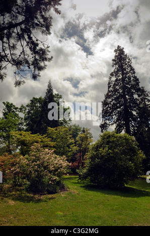 Un printemps paysage d'arbres et arbustes arbustes contre la formation de nuages à Langley Park Pays UK Bucks Banque D'Images