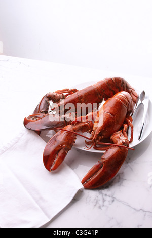 Homards Banque D'Images