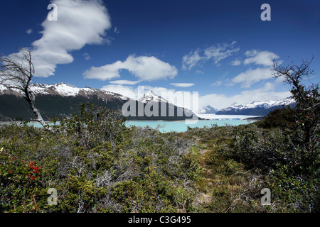 Vue sur le glacier Perito Moreno, près d'El Calafate, en Patagonie, Argentine, Amérique du Sud. Banque D'Images