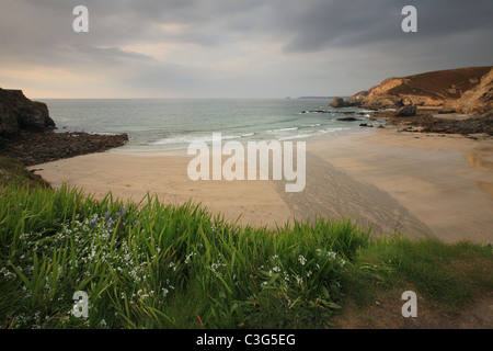 Trevaunance Cove, St Agnes, North Cornwall, England, UK Banque D'Images