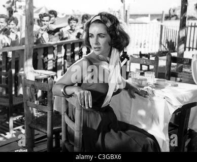 Soudain, l'été dernier Année : 1959 USA Elizabeth Taylor (Liz Taylor) Directeur : Mankiewicz Joseph L. Banque D'Images