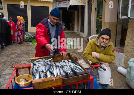 Décrochage du poisson au marché de la médina, vieille ville tanger maroc afrique du nord Banque D'Images