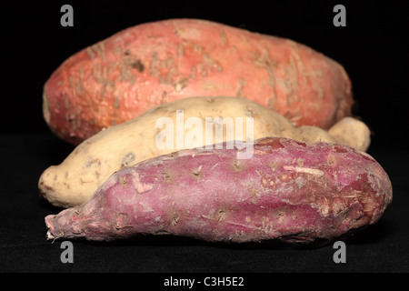 Trois Muskateers Banque D'Images