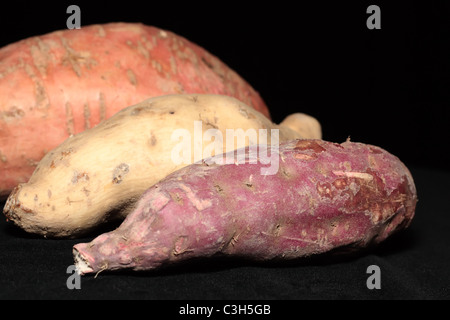 Trois sortes de patates douces qui est pourpre de la peau avec une chair blanche, avec la peau blanche et la chair violet orange normale un doux Banque D'Images