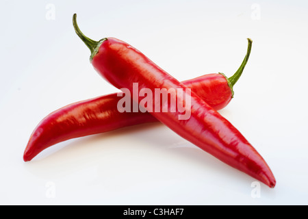 Close up de piment rouge sur fond blanc Banque D'Images