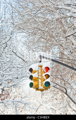 Feux de circulation avec des arbres dans la neige derrière Banque D'Images