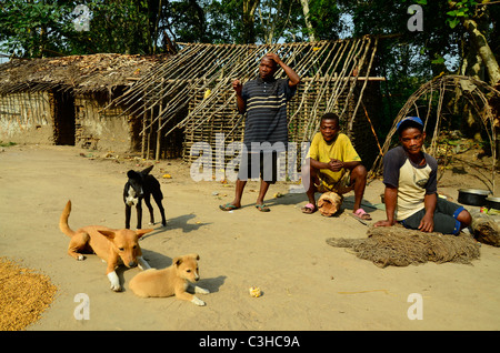 Les Pygmées Mbuti nomades vivent dans la jungle de l'Ituri le bassin du Congo en République démocratique du Congo. Certains s'installer près des villes. Banque D'Images