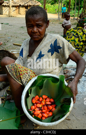 Les Pygmées Mbuti nomades vivent dans la jungle de l'Ituri le bassin du Congo en République démocratique du Congo. Certains s'installer près des villes. Banque D'Images