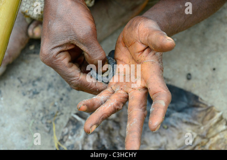 Les Pygmées Mbuti nomades vivent dans la jungle de l'Ituri le bassin du Congo en République démocratique du Congo. Certains s'installer près des villes. Banque D'Images