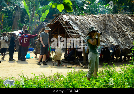 Les Pygmées Mbuti nomades vivent dans la jungle de l'Ituri le bassin du Congo en République démocratique du Congo. Certains s'installer près des villes. Banque D'Images