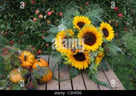 Fruits la récolte d'automne avec des tournesols et des citrouilles encore Banque D'Images