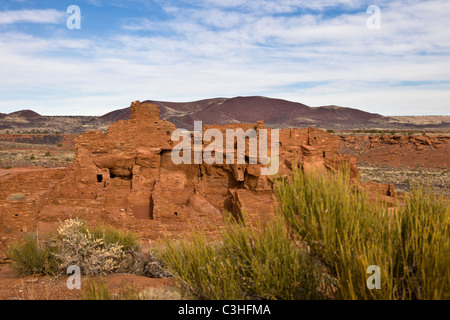 Wupatki Pueblo, le plus grand à Wupatki pueblo ancien Monument National en Arizona, USA. Banque D'Images